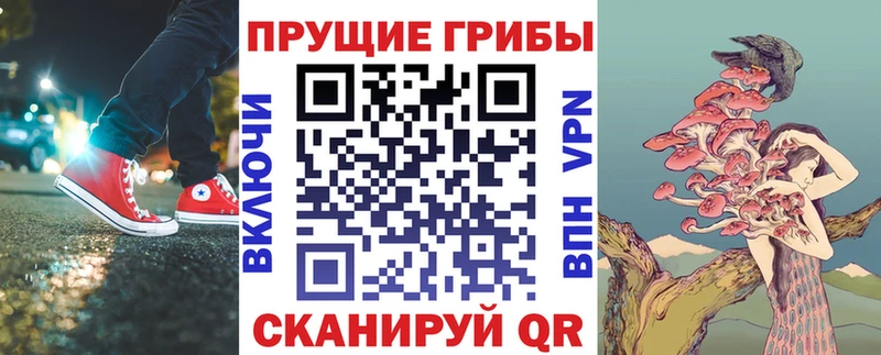 дарнет шоп  Мытищи  Псилоцибиновые грибы Psilocybine cubensis 
